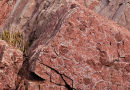 Beaconite Trace Fossils