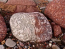 Calcrete - Fossil soils