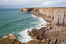 Newton Head