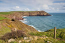 East Moor Cliff