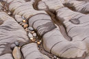 Wave Cut Platform