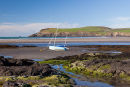 Low Tide