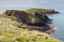 Sheep Island