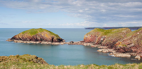 Sheep Island
