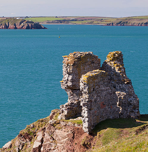 Tudor Lookout Tower