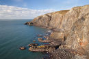 Traeth Y Rhedyn