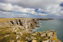 Mewsford Point