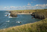 Porth Gwylan