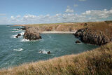 Porth Gwylan