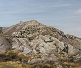 Moel Hebog - Siliceous Nodules