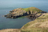 Dinas Bach