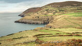 Mynydd Anelog