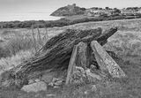 Caer-Dyni Burial Chamber - Chambered long cairn