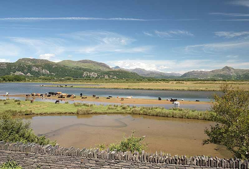 Traeth Mawr / Glaslyn Marshes