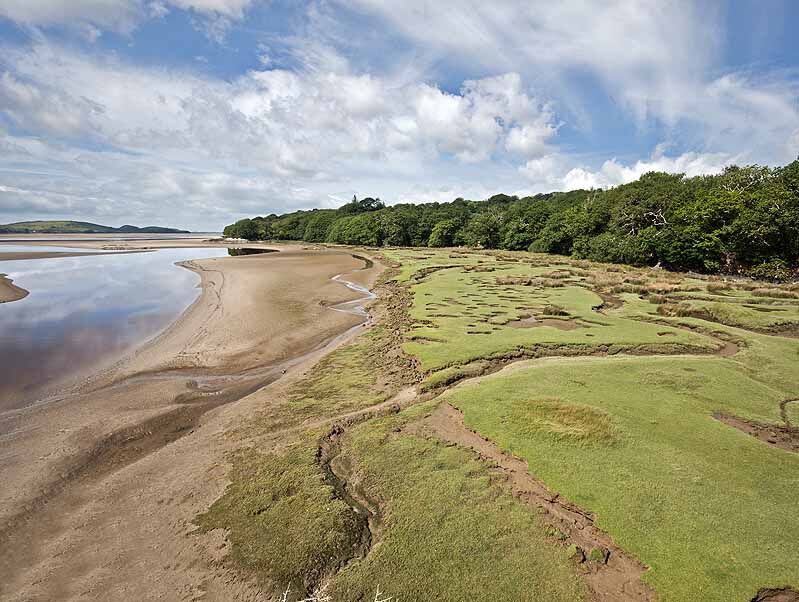 Minfford Salt Marsh / Woodland