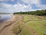 Minfford Salt Marsh / Woodland