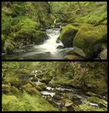 Afon Goedol - Coed Cymerau NNR