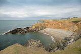 Cove