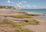 Prehistoric Submerged Forest - Abersoch