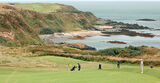 Borth Wen - 2