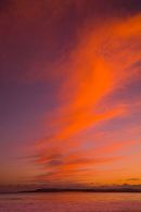 Caldey Sunset