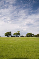 Countryside