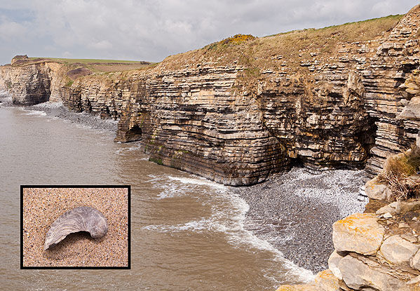 Devil's Toenail - Stout Point