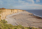 Wave Cut Platform