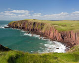 Red Berry Bay