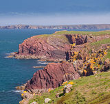 Red Sandstone Sea Cliffs