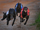 2nd: Racing for Money