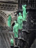 Commended: Detail from Notre Dame
