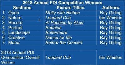 2018 Annual PDI Competition