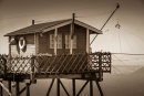 3rd Shrimp Hut