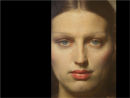 Commended: Painted Lady
