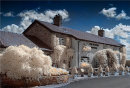Commended: the Plough