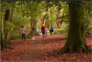 Commended: Community Forest