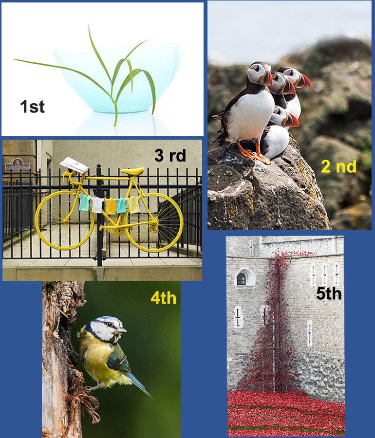 Small Print Images from our Beginners