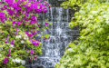 Waterfall at Dorothy Clive Gardens