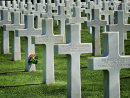 Commended: American Cemetry