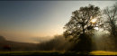 Commended: Early one Morning