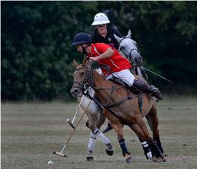 Polo Pas de Deux