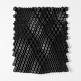 Looking for Light, Black