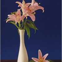 Pink Lilies