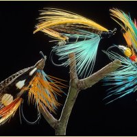 Salmon Flies
