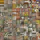 Bark Collage 3