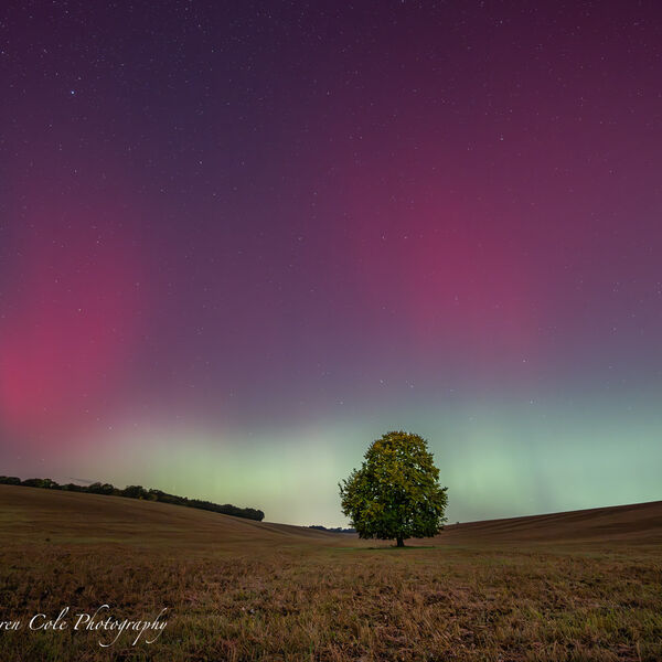 Northern Lights/Aurora - Green and Pink