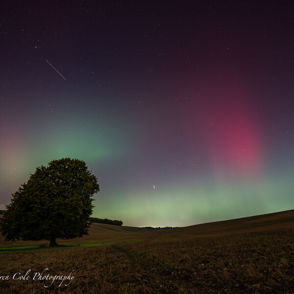 Northern Lights/Aurora - Green and Pink