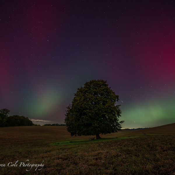 Northern Lights/Aurora - Green and Pink
