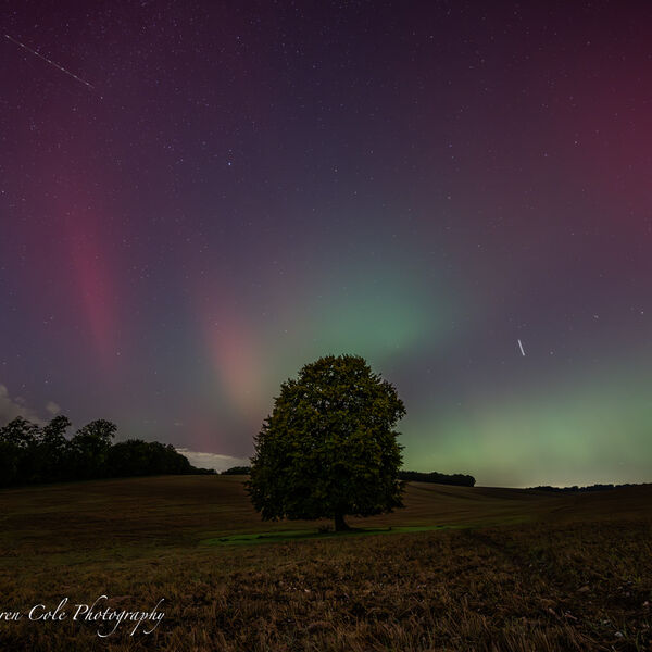 Northern Lights/Aurora - Green and Pink